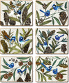 Cinnamon Blue Wren Placemats - Set Of 6