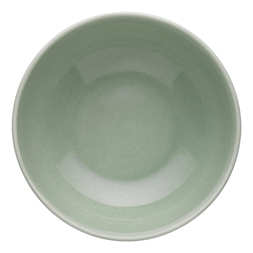 Element Laksa Bowl 20cm - Dew