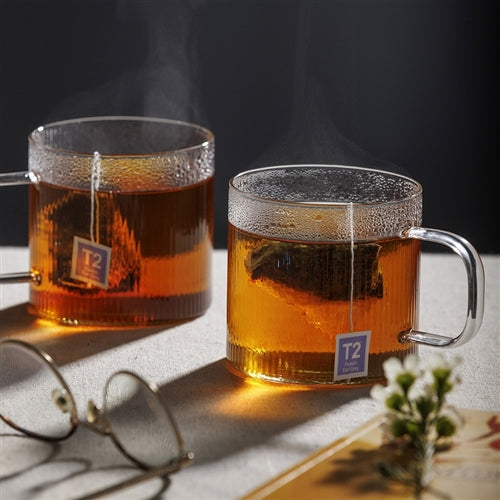 Ecology Infuse Set Of 2 Tea/coffee Cup 350ml
