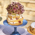 Torte Cake Stand 29x18cm Storm