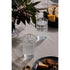 Ecology Phineas Set Of 6 Highball Glasses