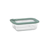 Ecology Store Rectangle Container With Vent 370ml - Eucalyptus