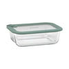 Ecology Store Rectangle Container With Vent 1050ml - Eucalyptus