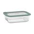 Ecology Store Rectangle Container With Vent 1050ml - Eucalyptus Glassware Storage The Cooks Kitchen 