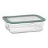 Ecology Store Rectangle Container With Vent 1520ml - Eucalyptus