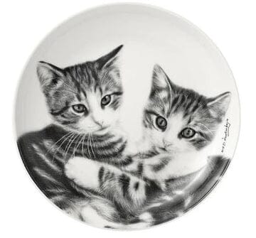 Ashdene Feline Friends Cuddling Kittens Trinket Dish To be sorted The Cooks Kitchen 