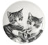 Ashdene Feline Friends Cuddling Kittens Trinket Dish To be sorted The Cooks Kitchen 