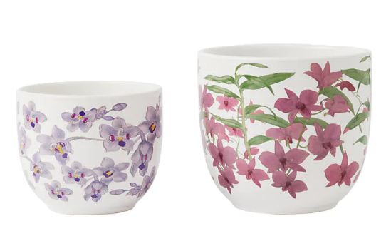 Maxwell & Williams Royal Botanic Gardens - Australian Orchids Planters Set Of 2 - Pink & Lilac