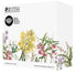 Maxwell & Williams Royal Botanic Gardens - Australian Orchids Ceramic Round Coasters 9.5cm Set Of 4