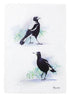 Maxwell & Williams Katherine Castle Bird Life Tea Towel Magpie Tea Towels The Cooks Kitchen 
