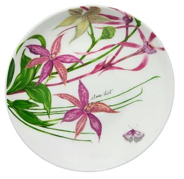 Maxwell & Williams Eloise Short Lyric Cup & Saucer 240ml - Yellow Robin Mugs - Cups & Saucers The Cooks Kitchen 