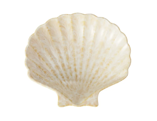 Casa Domani Shell Dish 24x13x5cm