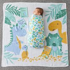 Jiggle & Giggle  - Dinosaurs Muslin Blanket & Baby Milestone Photo Cards