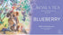 Blueberry Koala Design - 20 Organic Tea Bags