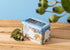 Koala Gift Tin  - Beach - 25 Organic Tea Bags