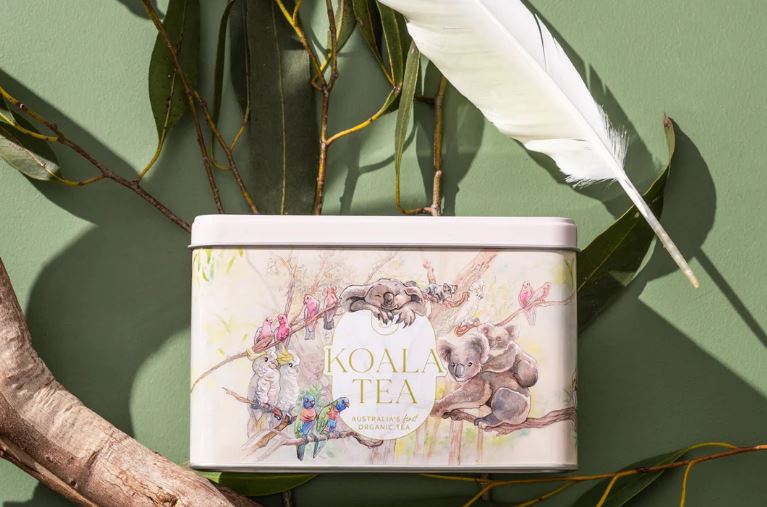 Koala Gift Tin - Forest - 25 Organic Tea Bags