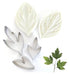 Peony Leaf Cutter Set