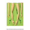 Women Leg And Arm Silicone Mould