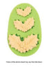 Assorted Holly Silicone Mould