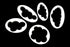 Cake Craft - Cloud Cutter Set 5pc