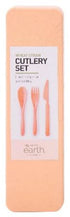 Wheat Straw Cutlery Set 20x6x2cm