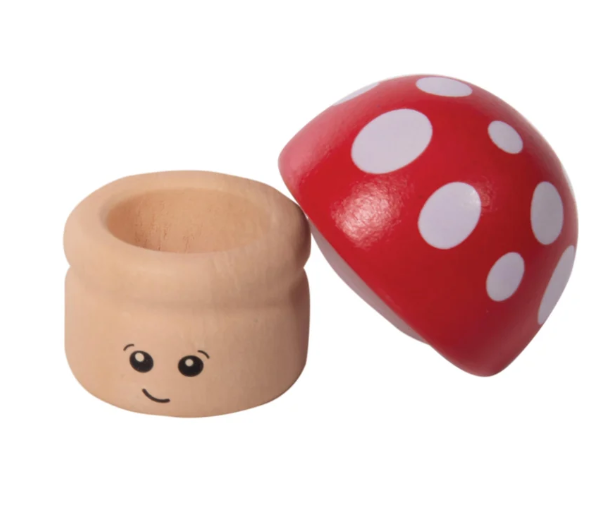 Discovery Zone Wooden Tooth Fairy Box