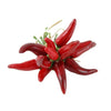 Rogue Chilli Bunch - Red