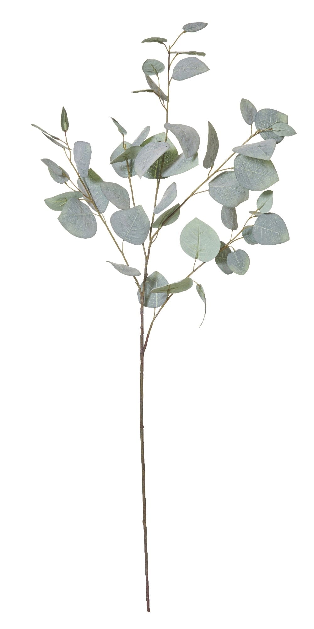 Rogue Eucalyptus Leaf Spray Grey Green - 40x30x92cm Flowers The Cooks Kitchen Mandurah 