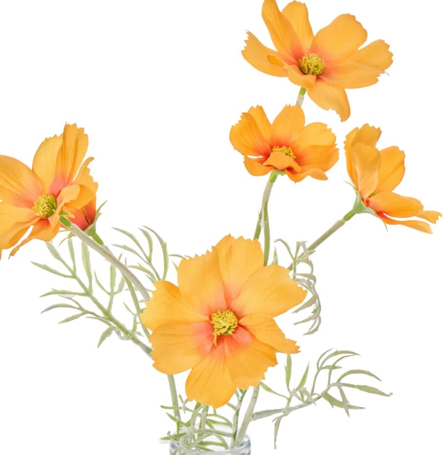 Rogue Cosmos In Milk Bottle Orange Artificial Plants The Cooks Kitchen 