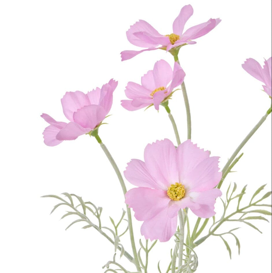 Rogue Cosmos In Milk Bottle Light Pink Artificial Plants The Cooks Kitchen 