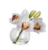 Rogue Cymbidium-glass Vase White Artificial Plants The Cooks Kitchen 