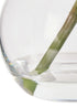 Rogue Cymbidium-glass Vase White