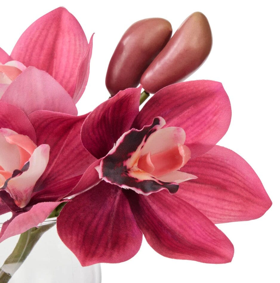 Rogue Cymbidium-glass Vase Burgundy Artificial Plants The Cooks Kitchen 