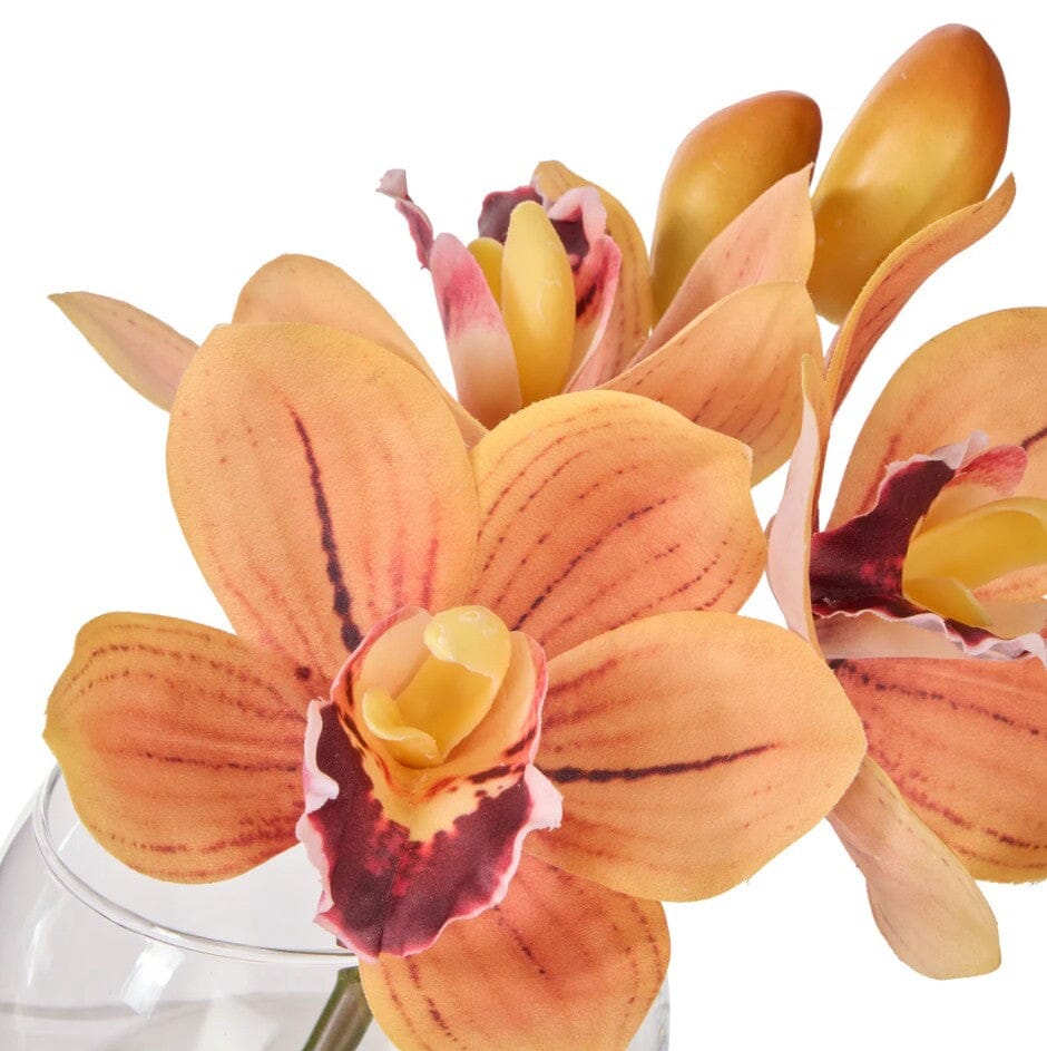 Rogue Cymbidium-glass Vase Orange Artificial Plants The Cooks Kitchen 