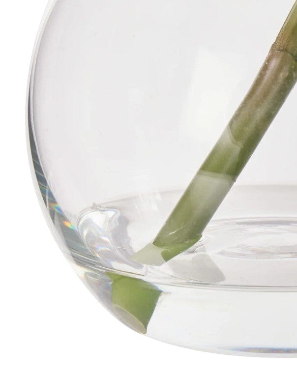 Rogue Cymbidium-glass Vase Orange Artificial Plants The Cooks Kitchen 