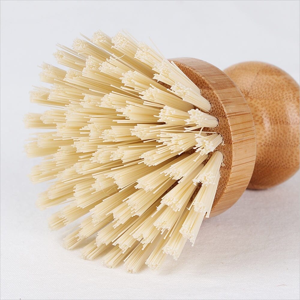Eco Basics - Pot Brush Cleaning Equipment The Cooks Kitchen 