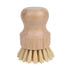 Eco Basics Plastic Free Pot Brush Brushes The Cooks Kitchen 