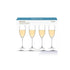Plumm Outdoors Sparkling Wine Glass - 4 Pack Wine & Champagne The Cooks Kitchen 