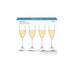 Plumm Outdoors Sparkling Wine Glass - 4 Pack