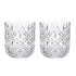 Davis & Waddell Fine Foods Deluxe Double Old Fashioned Set Of 2, 280ml