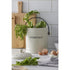 Davis & Waddell Darley 3.5l Compost Bin, Cream 22x18x25cm