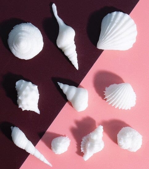 Sprinks Silicone Mould Sea Shells Silicone Moulds The Cooks Kitchen 