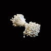 Bake Group - Stamens - White Medium Pearl