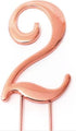 Sugar Crafty Rose Gold Cake Topper - Number 2 Number Toppers The Cooks Kitchen 