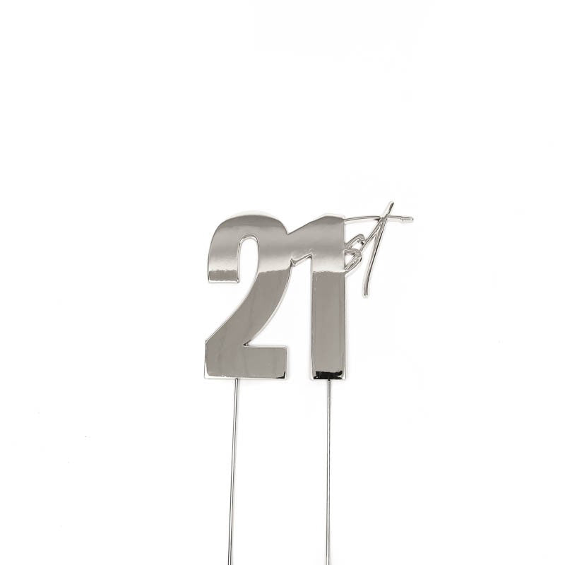 Cake & Candle Topper - 21st Silver