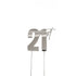 Cake & Candle Topper - 21st Silver