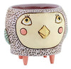 Baby Birdie Pink Planter