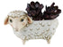 White Sheep Planter To be sorted The Cooks Kitchen 